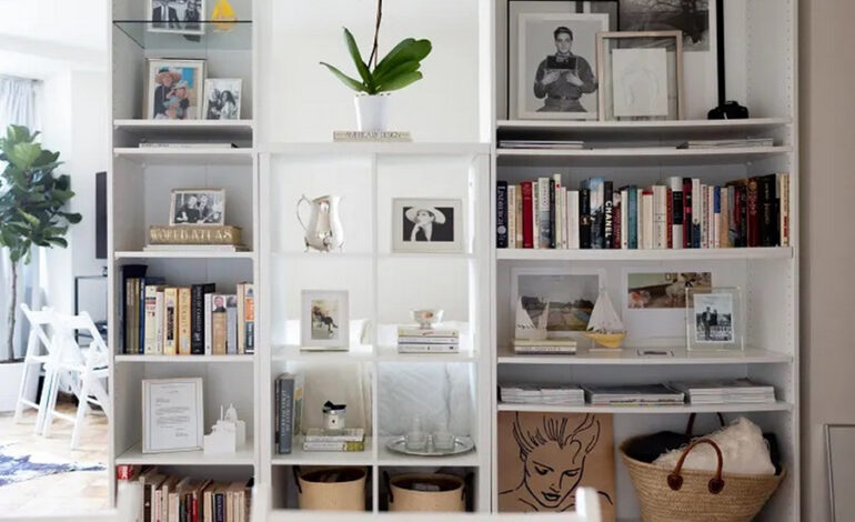 Elevating Small Space Living with a TikTok Bookshelf Hack