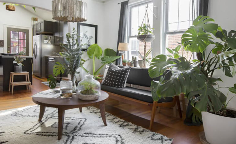 Unlocking the Potential of Junk Drawer Items for Happy Houseplants