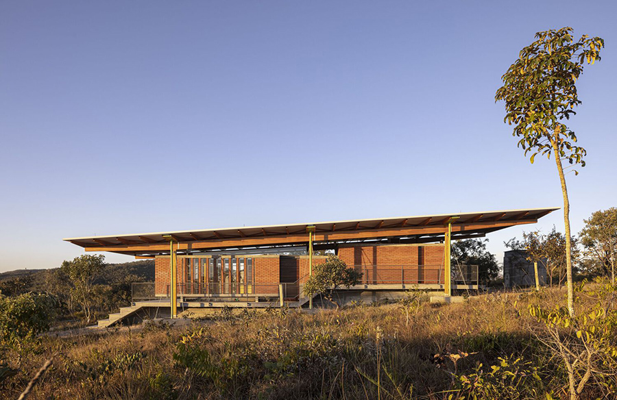 Embracing Nature: Palicourea House